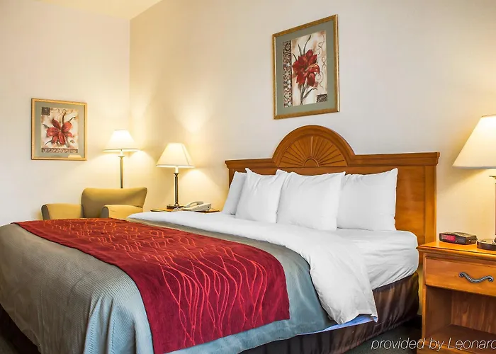 Comfort And I-8 Hotel Yuma